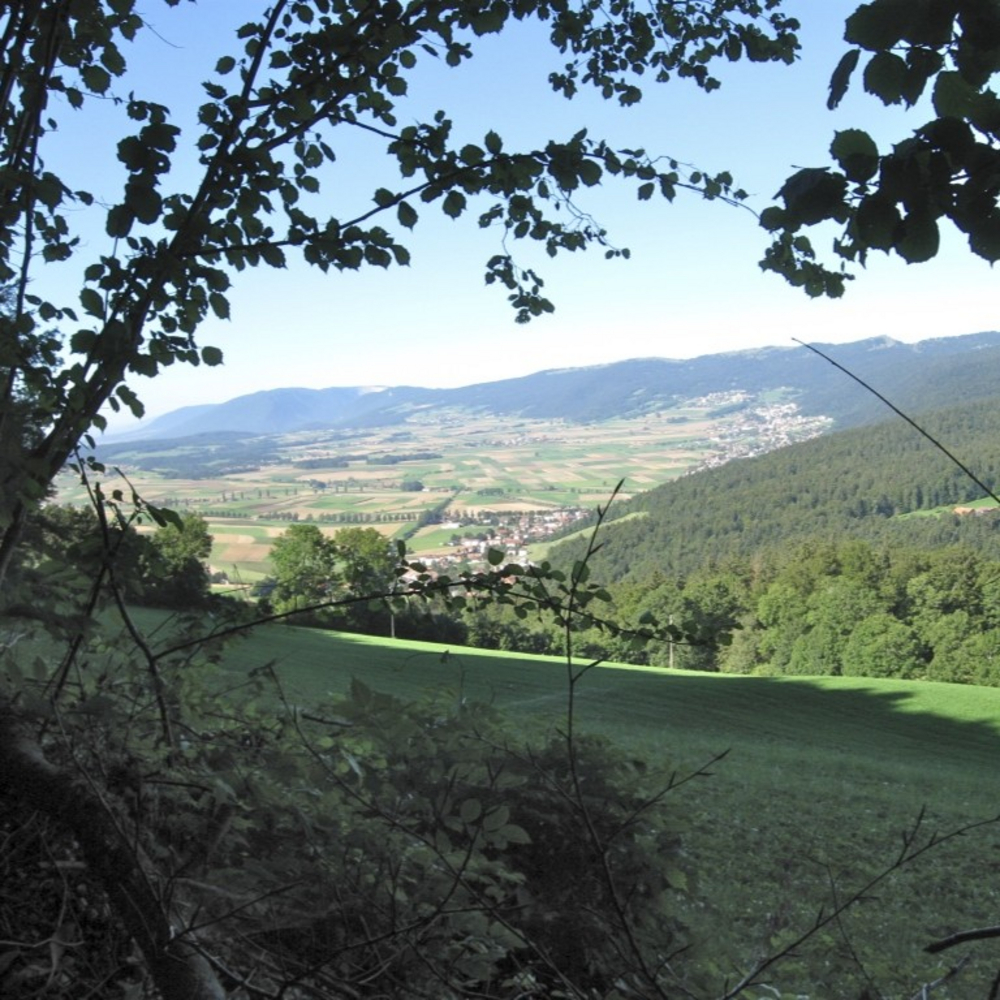 Pourquoi faire cette balade ?